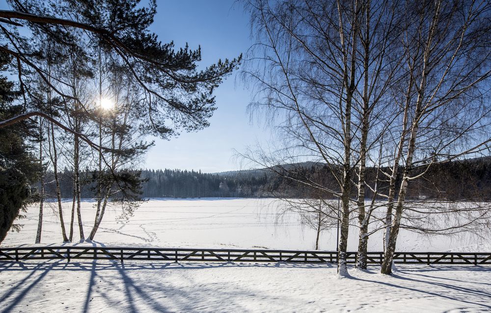 Orea Resort Devet Skal Vysocina Sněžné Exterior foto